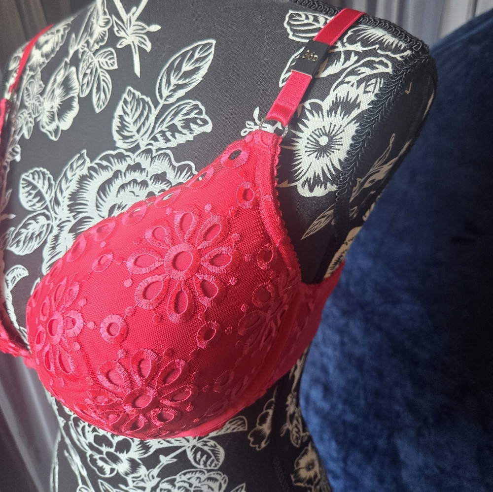 Push Up Bra View 2